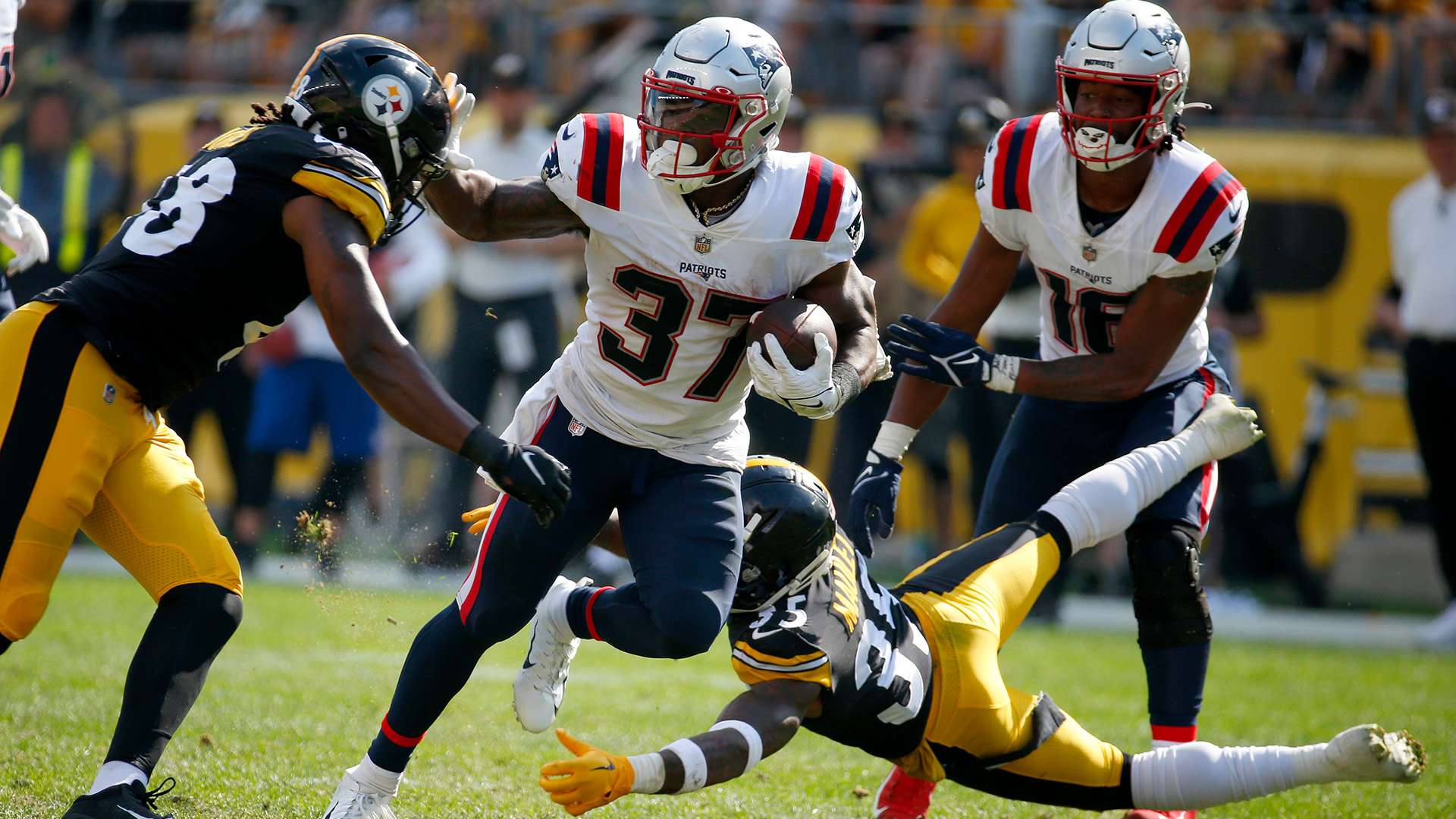 潮持续升温 潮持续升温